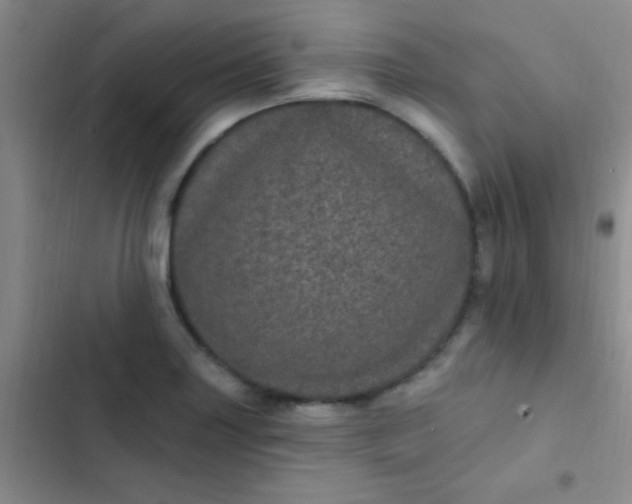 X0000102531227200808221857