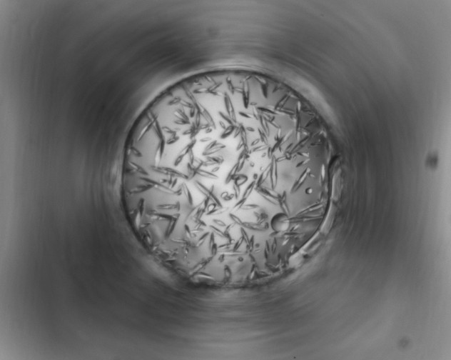 X0000102531228200808221857