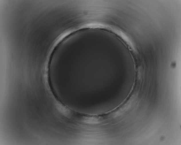 X0000102531229200808221857