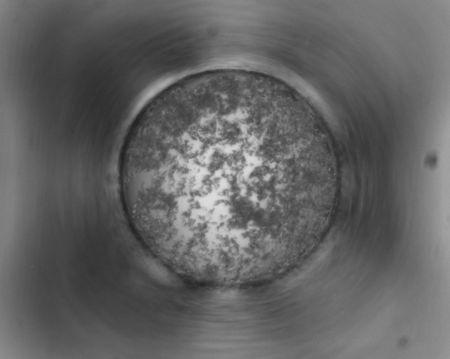 X0000102531230200808221857