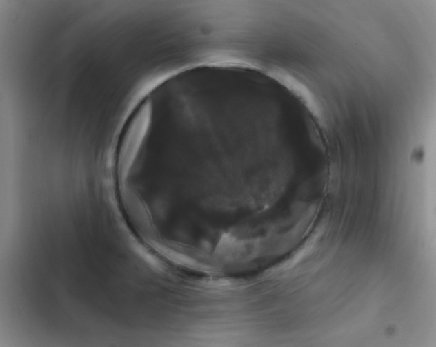 X0000102531231200808221858