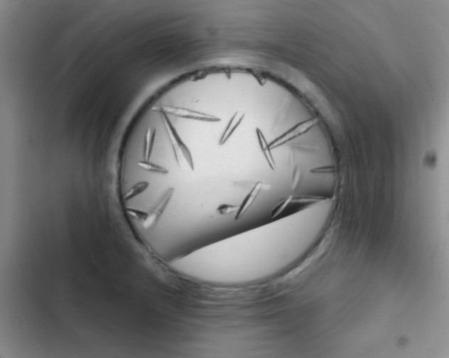 X0000102531232200808221858