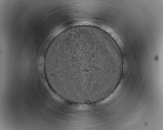 X0000102531233200808221858