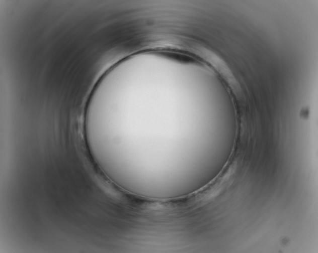 X0000102531234200808221858