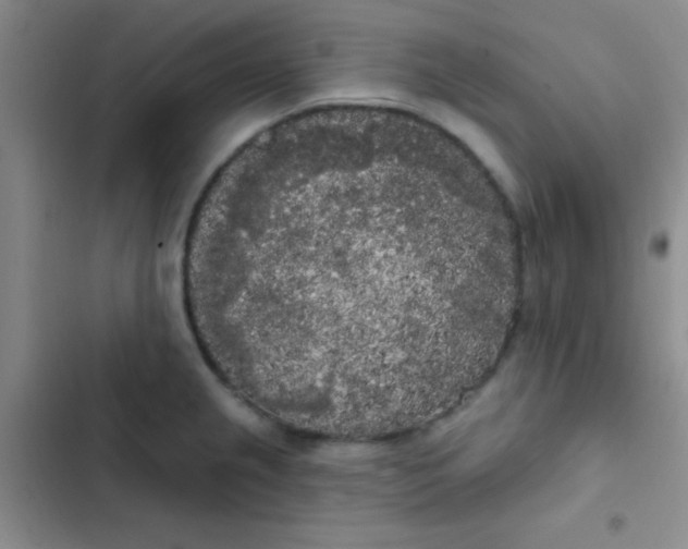 X0000102531237200808221858