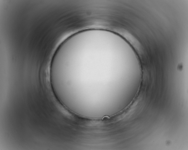 X0000102531238200808221858