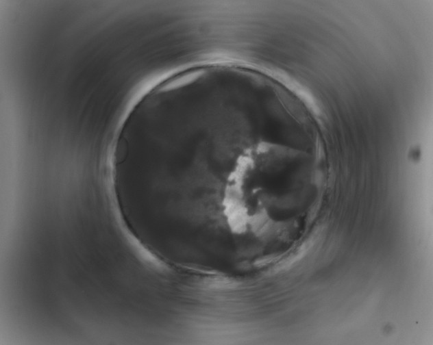 X0000102531239200808221858