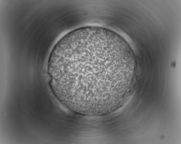 X0000102531240200808221858