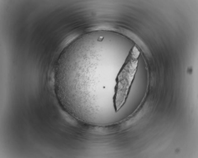 X0000102531241200808221858