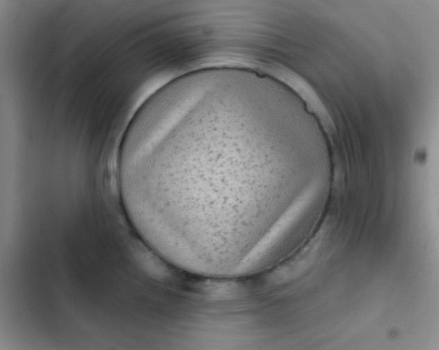 X0000102531242200808221858