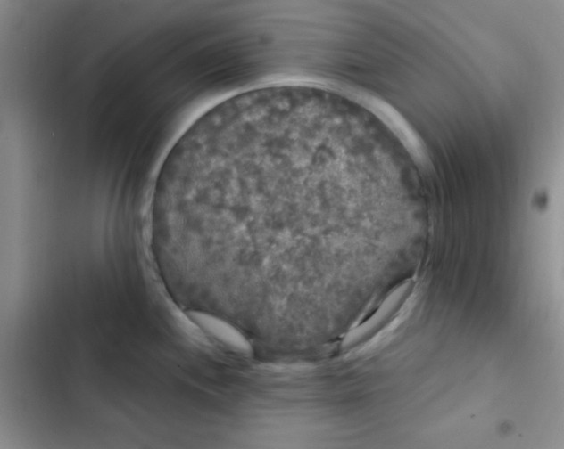 X0000102531244200808221858