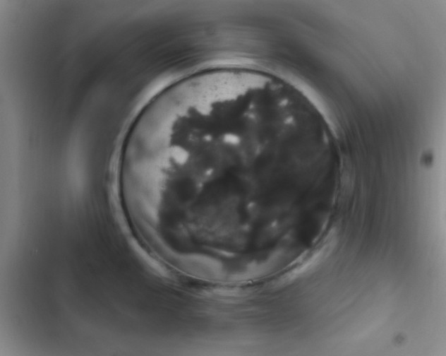 X0000102531245200808221858