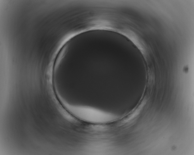 X0000102531246200808221858