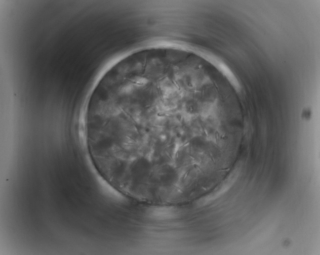 X0000102531247200808221858