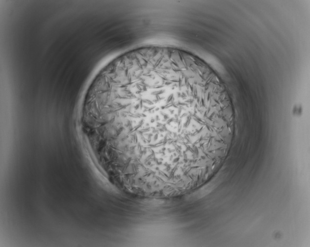 X0000102531248200808221858