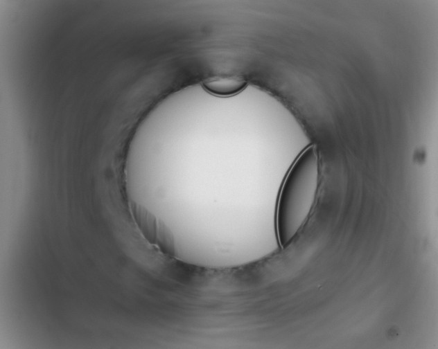 X0000102531249200808221857