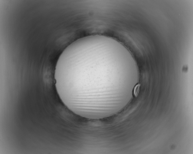 X0000102531250200808221857