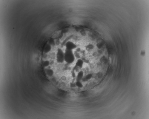 X0000102531251200808221857