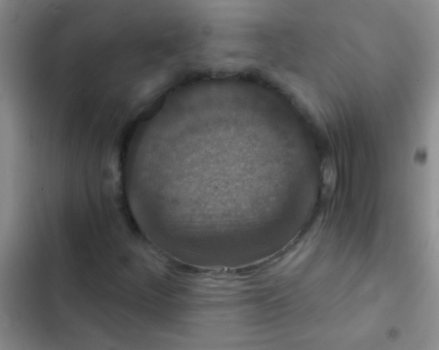 X0000102531252200808221857