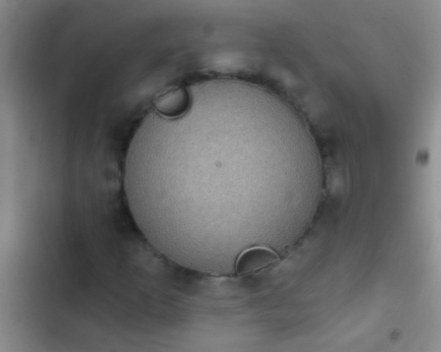 X0000102531253200808221857