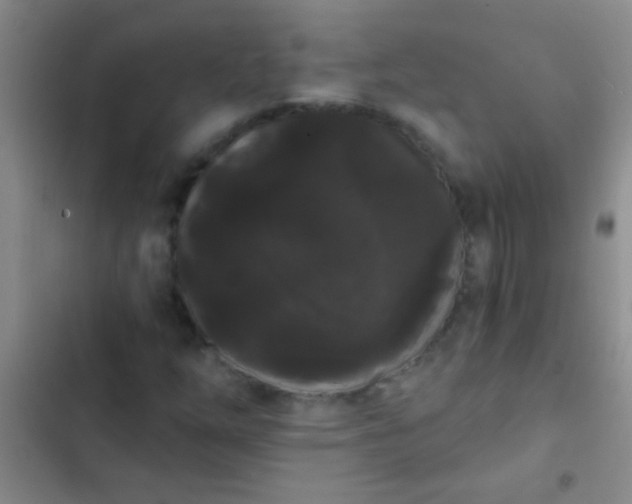 X0000102531254200808221857