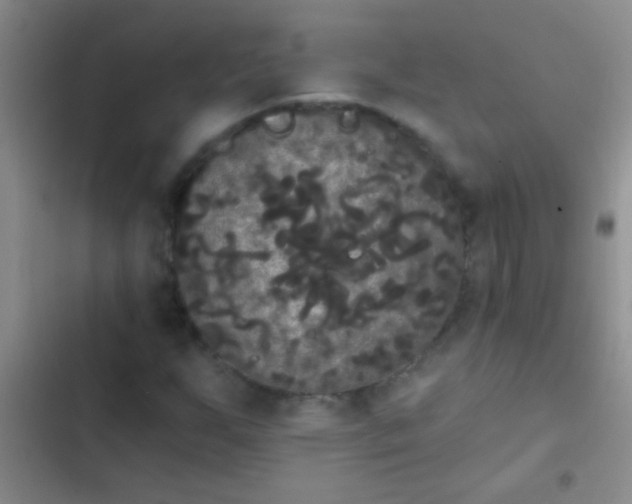 X0000102531255200808221857