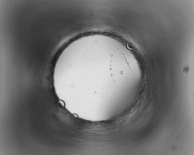 X0000102531256200808221857