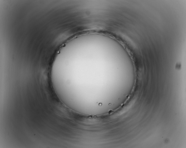 X0000102531257200808221857