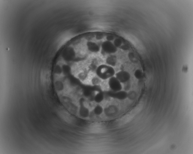 X0000102531259200808221857