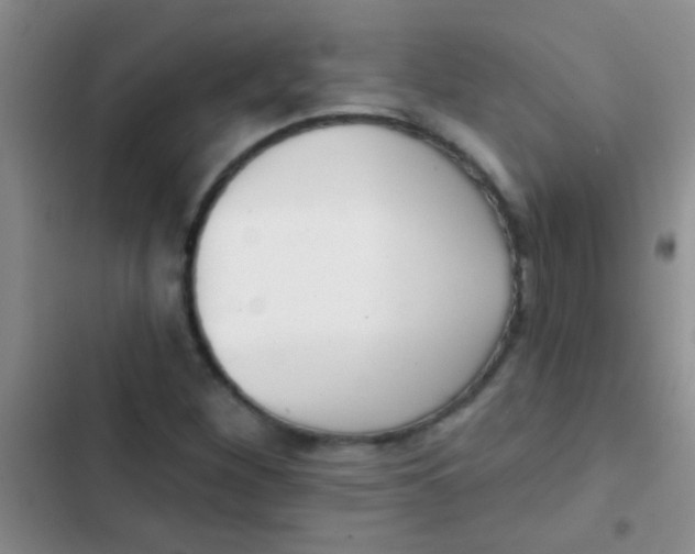 X0000102531260200808221857