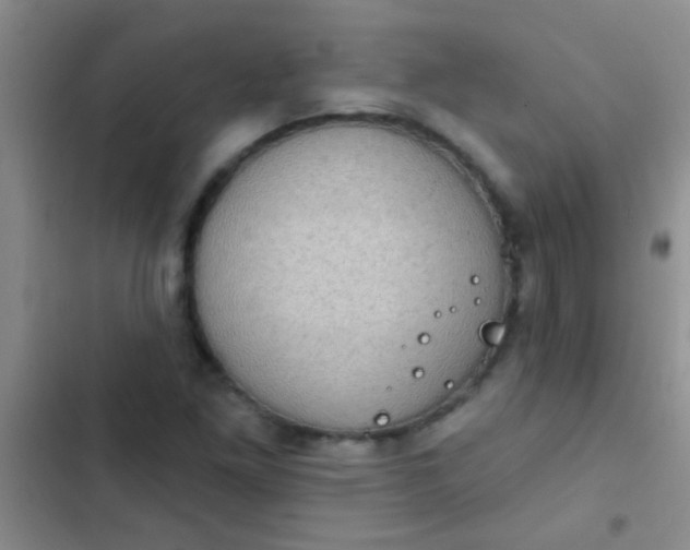 X0000102531261200808221857