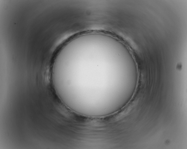 X0000102531262200808221857