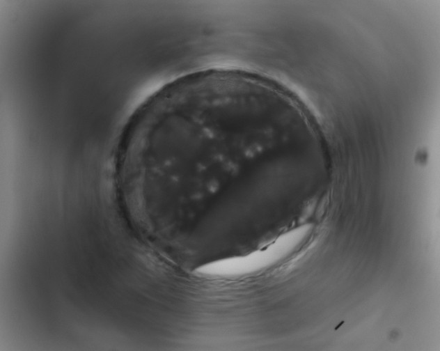 X0000102531263200808221857