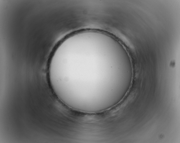 X0000102531264200808221857