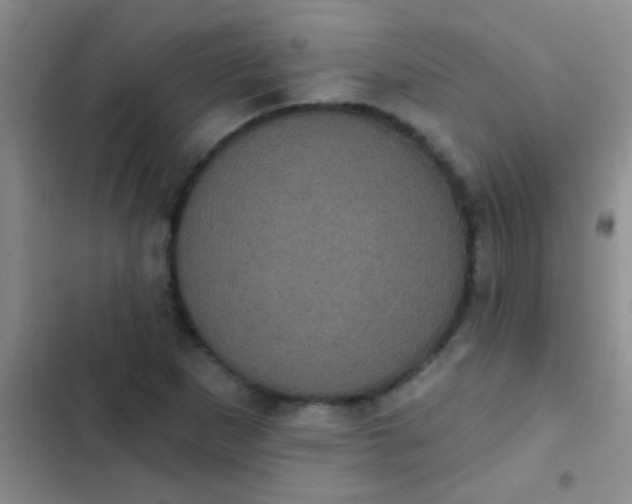 X0000102531265200808221857