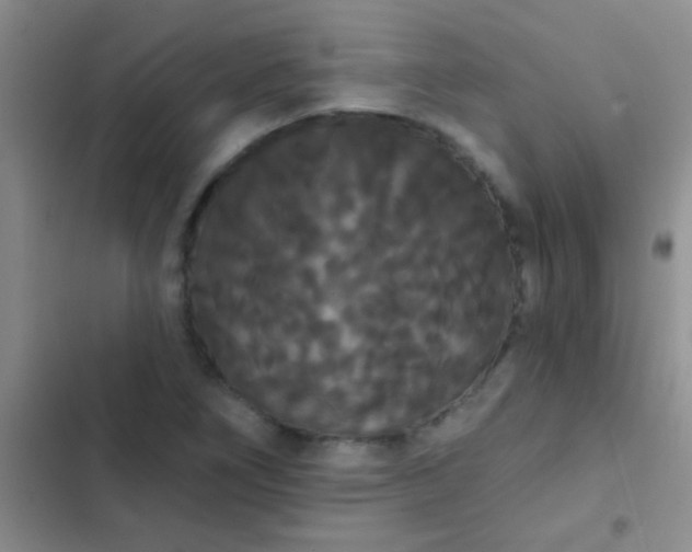 X0000102531266200808221857