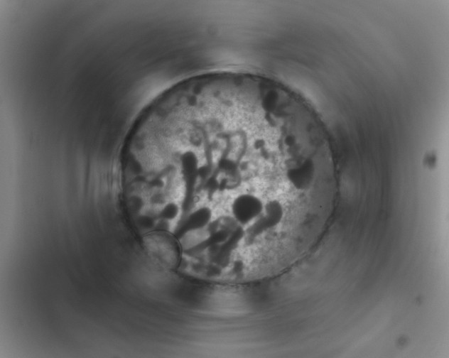 X0000102531267200808221857