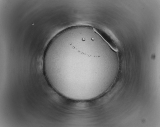 X0000102531268200808221857