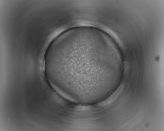 X0000102531269200808221857