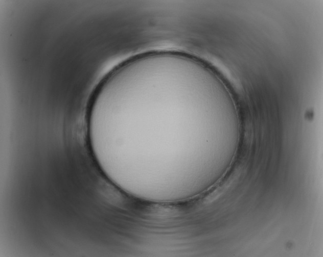 X0000102531270200808221857