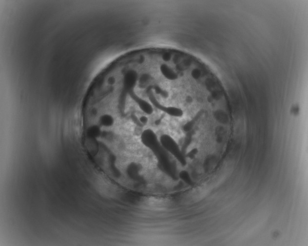 X0000102531271200808221857