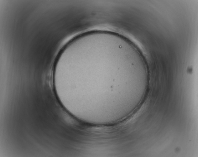 X0000102531272200808221857