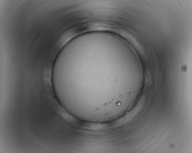 X0000102531273200808221857