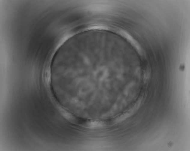 X0000102531274200808221857