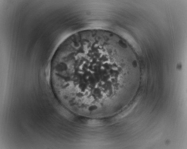 X0000102531275200808221857