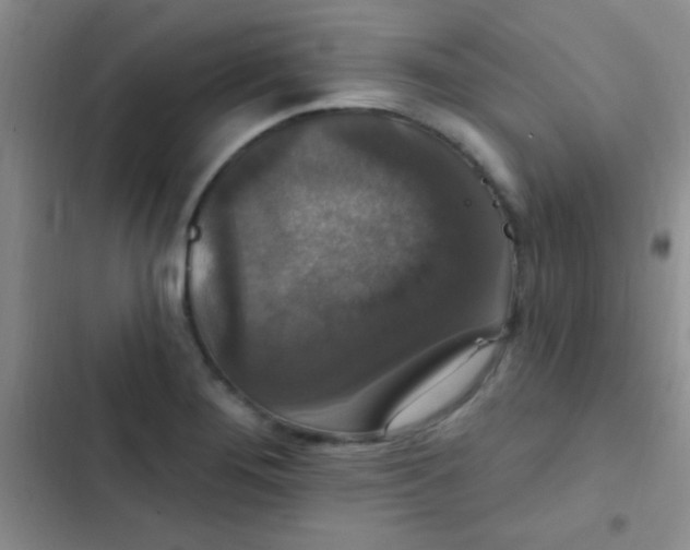 X0000102531276200808221857