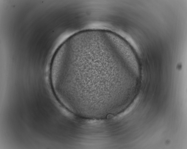 X0000102531277200808221857