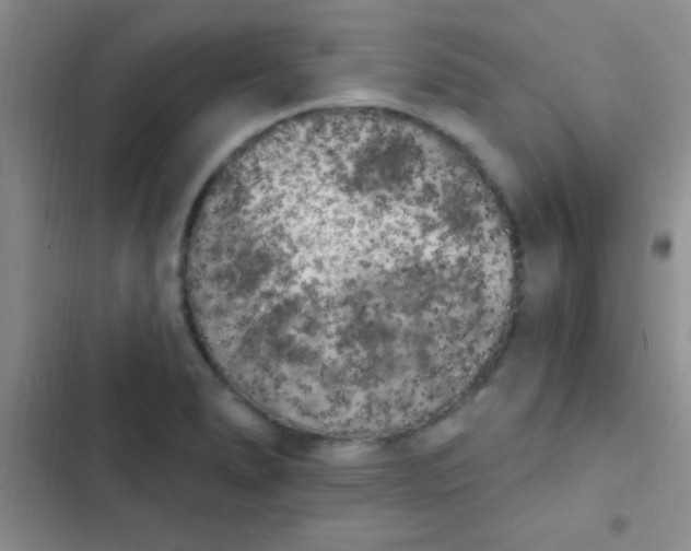 X0000102531278200808221857