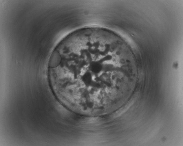 X0000102531279200808221857