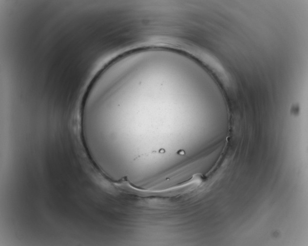 X0000102531280200808221857